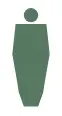 Apple Body Shape
