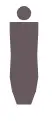 Rectangle Body Shape